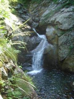 DSC02874.jpg