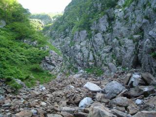 DSC02917.jpg