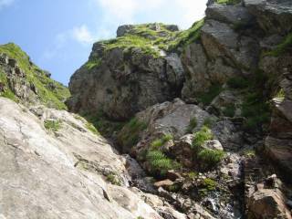 DSC02922.jpg