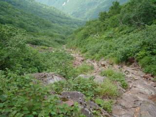 DSC02933.jpg