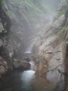 DSC03006.jpg