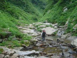 DSC03018.jpg