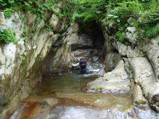 DSC03029.jpg