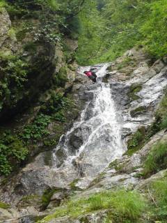DSC03037.jpg
