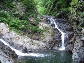 DSC02783.jpg