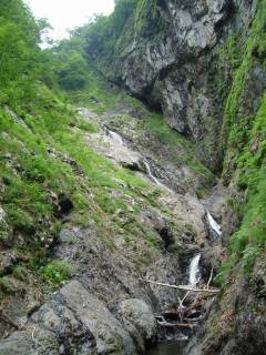 DSC02789.jpg
