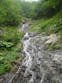 DSC02803.jpg
