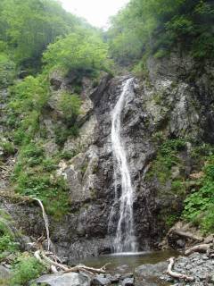 DSC02801.jpg