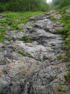 DSC02825.jpg