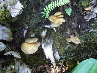 DSC03967.jpg