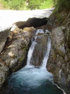 DSC02186.jpg