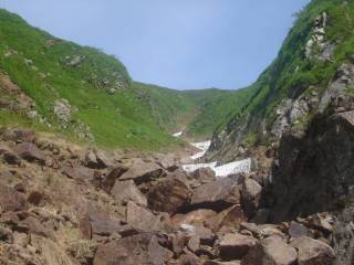 DSC02194.jpg