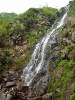 DSC02212.jpg