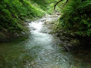 DSC02235.jpg