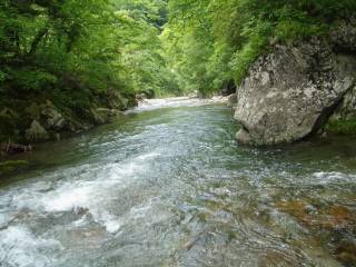 DSC02244.jpg