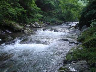 DSC02248.jpg