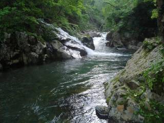 DSC02250.jpg