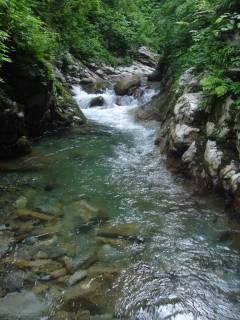 DSC02260.jpg