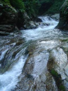 DSC02263.jpg