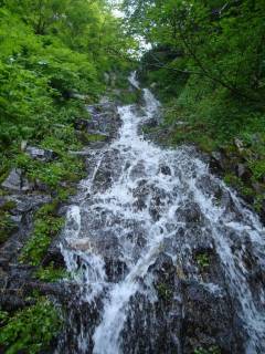 DSC02285.jpg