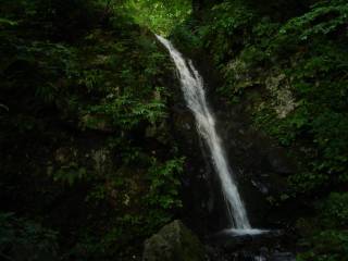 DSC02573.jpg