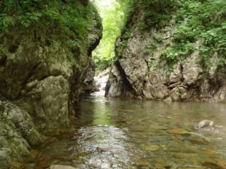 DSC02597.jpg