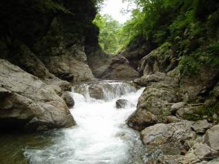 DSC02599.jpg