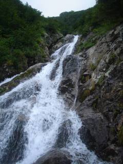 DSC00970.jpg