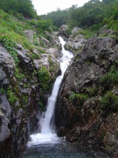 DSC00975.jpg