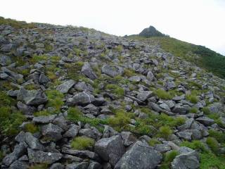 DSC00997.jpg