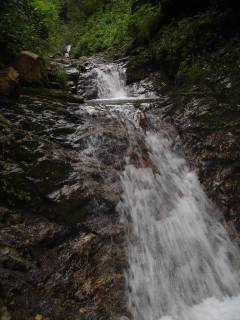 DSC01002.jpg
