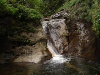 DSC01006.jpg