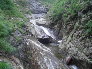 DSC01016.jpg