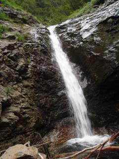 DSC01027.jpg