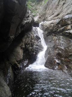 DSC01034.jpg