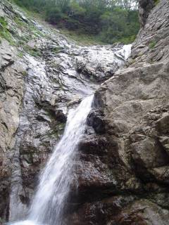 DSC01043.jpg