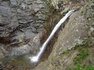 DSC01044.jpg