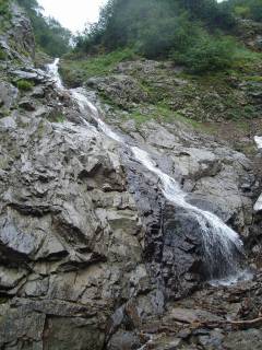 DSC01051.jpg
