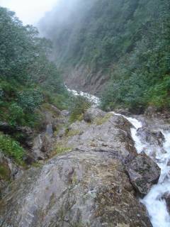 DSC01074.jpg