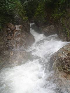 DSC01091.jpg