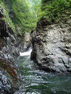 DSC00766.jpg