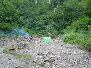 DSC00781.jpg