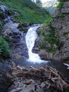 DSC00792.jpg