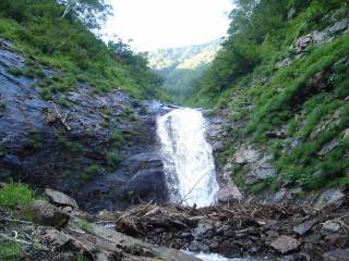 DSC00793.jpg