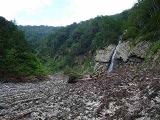 DSC00797.jpg