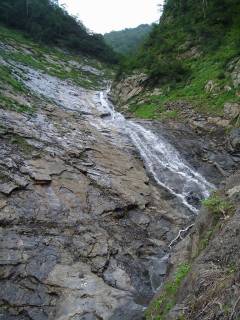 DSC00799.jpg