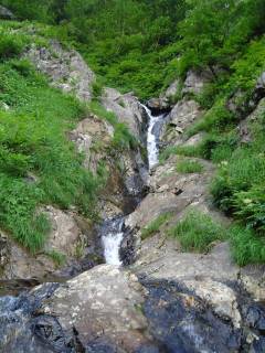 DSC00805.jpg