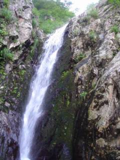 DSC00808.jpg