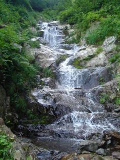DSC00813.jpg