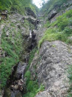 DSC00892.jpg